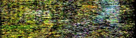 Video Head Clog artifacts from the A/V Artifact Atlas.  