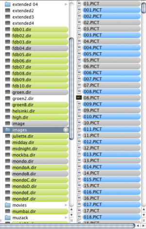Screenshot of the folders containing the different series of images. 